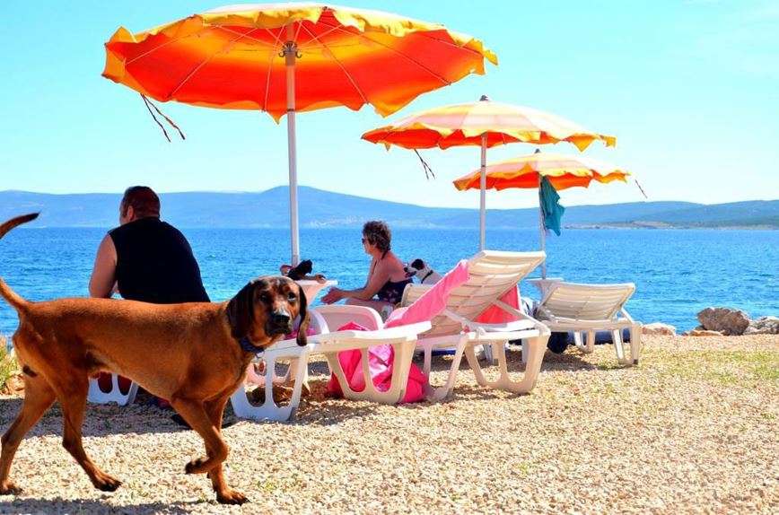 Montys dog pláž a bar - Crikvenica